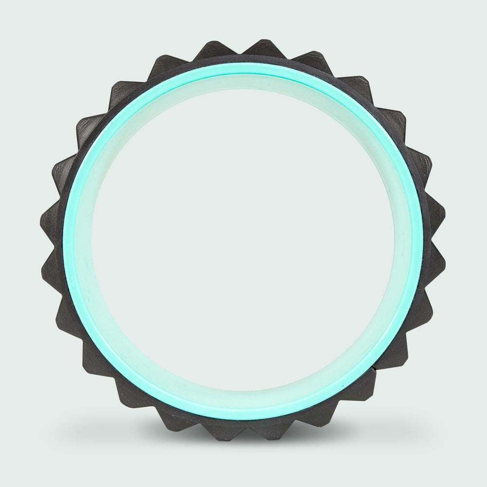 Chirp Wheel XR junto a mano para mostrar tamaño portátil y manejo