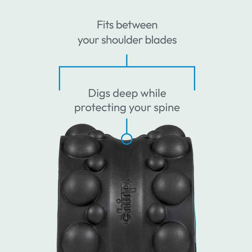 Chirp Wheel XR en ambiente de gimnasio demostrando uso práctico diario