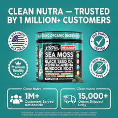 Clean Nutraceuticals detalle de ashwagandha y moringa que destaca adaptógenos vegetales
