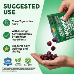 Etiqueta Clean Nutra moringa mostrando información de dosis y origen