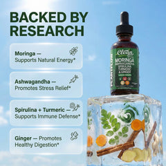 Clean Nutraceuticals líquido verde mostrando textura y absorción rápida