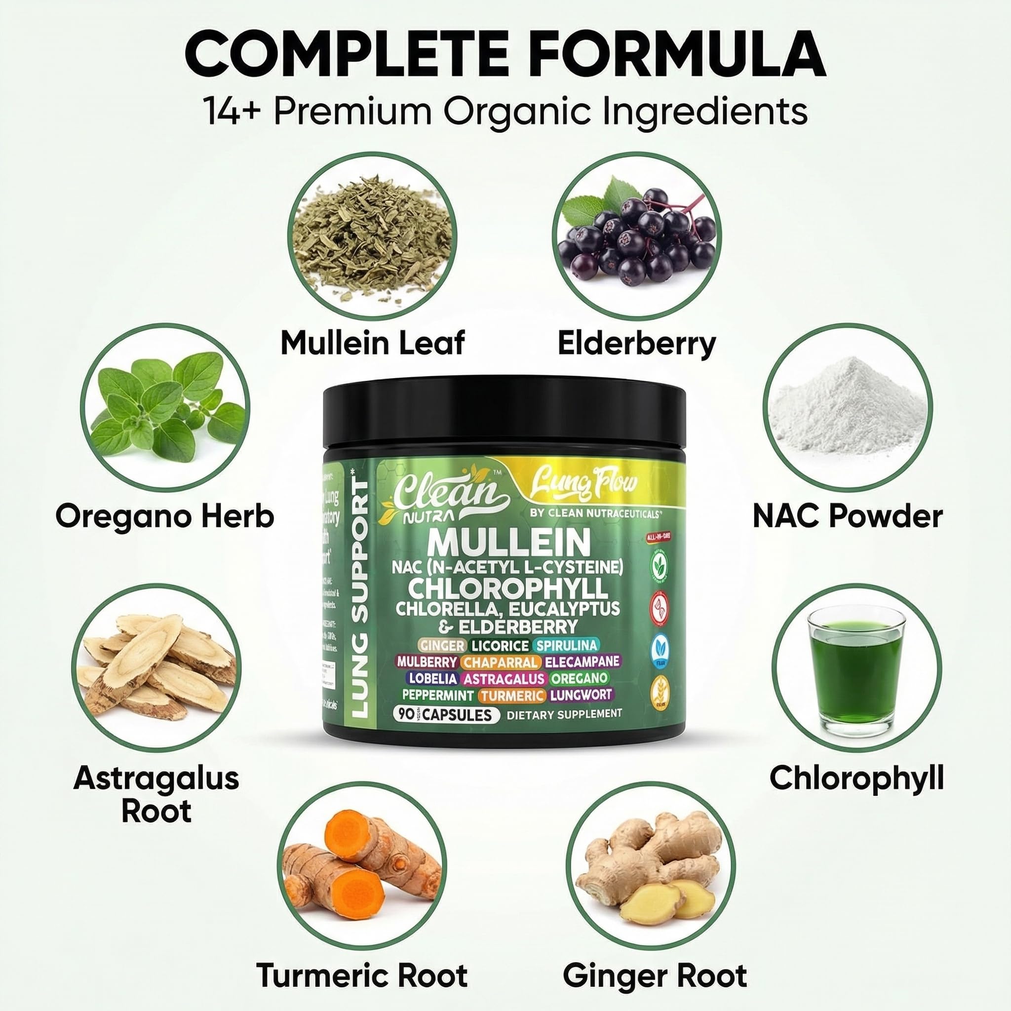 Clean Nutraceuticals polvo verde de clorofila textura que sugiere depuración