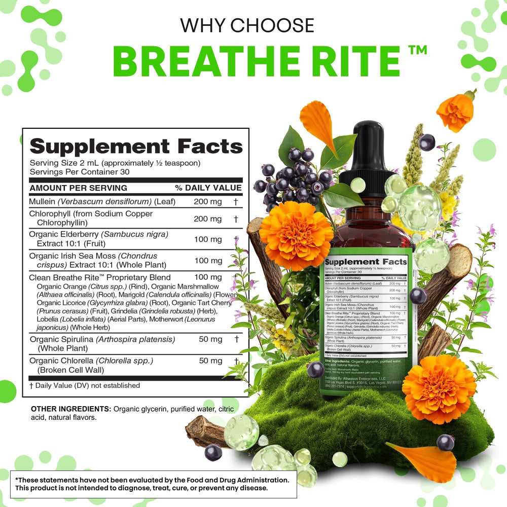 Clean Nutraceuticals ingredientes orgánicos agrupados destacando clorofila y musgo marino