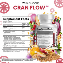 Clean Nutraceuticals cápsulas sobre fondo natural transmitiendo limpieza y equilibrio