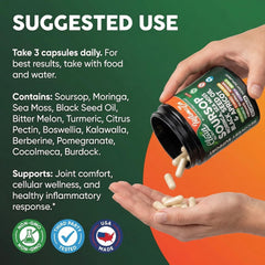 Clean Nutraceuticals cápsulas junto a regla para comparar tamaño y facilidad