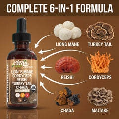 Clean Nutraceuticals ingredientes dispuestos: listado visual de hongos funcionales