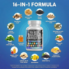 Ingredientes crudos dispuestos con sea moss, black seed y cúrcuma visibles