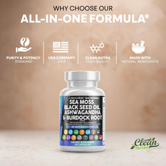 Clean Nutraceuticals ingredientes frescos dispuestos para ilustrar origen natural