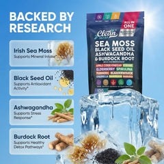 Clean Nutraceuticals polvo de sea moss mostrando textura natural y origen wildcrafted