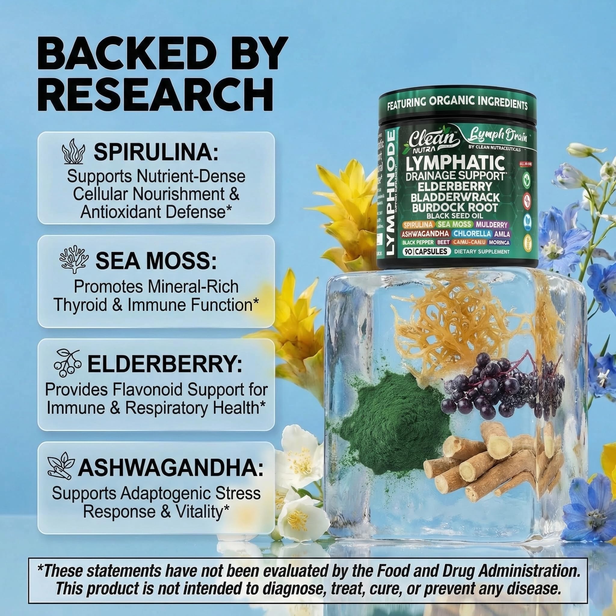 Clean Nutraceuticals polvo de sea moss mostrando textura y aporte mineral natural