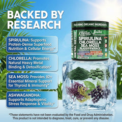 Clean Nutraceuticals polvo de spirulina en textura, aporte de clorofila