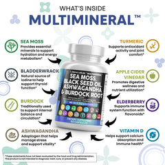 Clean Nutraceuticals primer plano del polvo de sea moss para textura natural