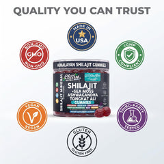 Clean Nutraceuticals interior de gomita cortada mostrando textura y mezcla