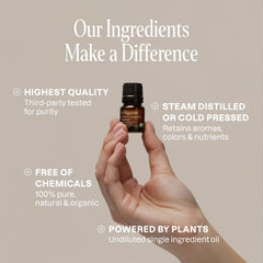 Cliganic Difusor aromaterapia: difusión de fragancias naturales para ambientes.