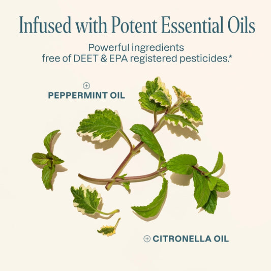 Cliganic parches antimosquitos: parches multicolores para distintas actividades.