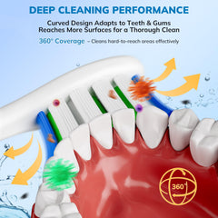 CloudDent detalle de cerdas curvadas para mejor contacto dental
