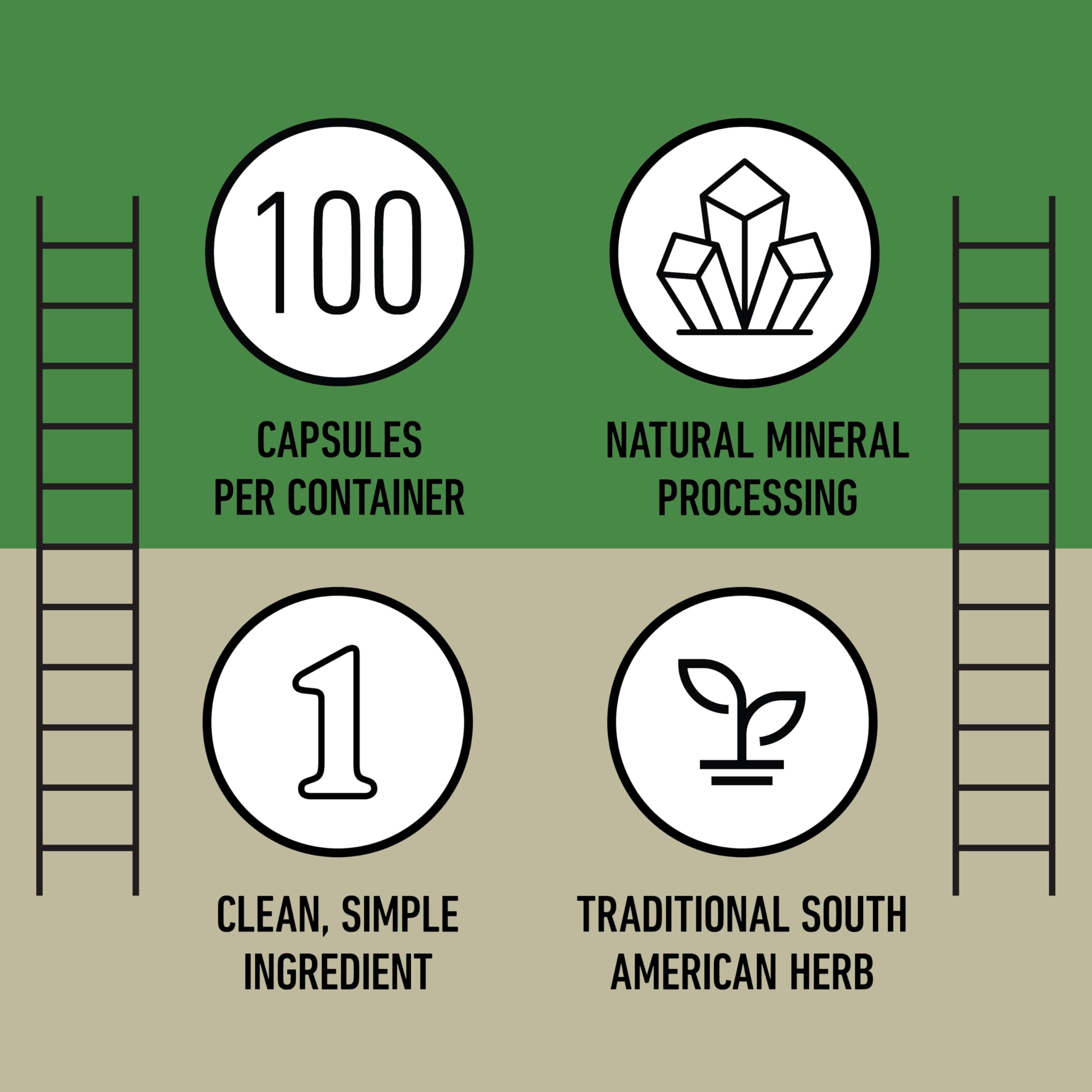 Complete Natural Products enviroment con plantas y luz natural, transmite origen orgánico