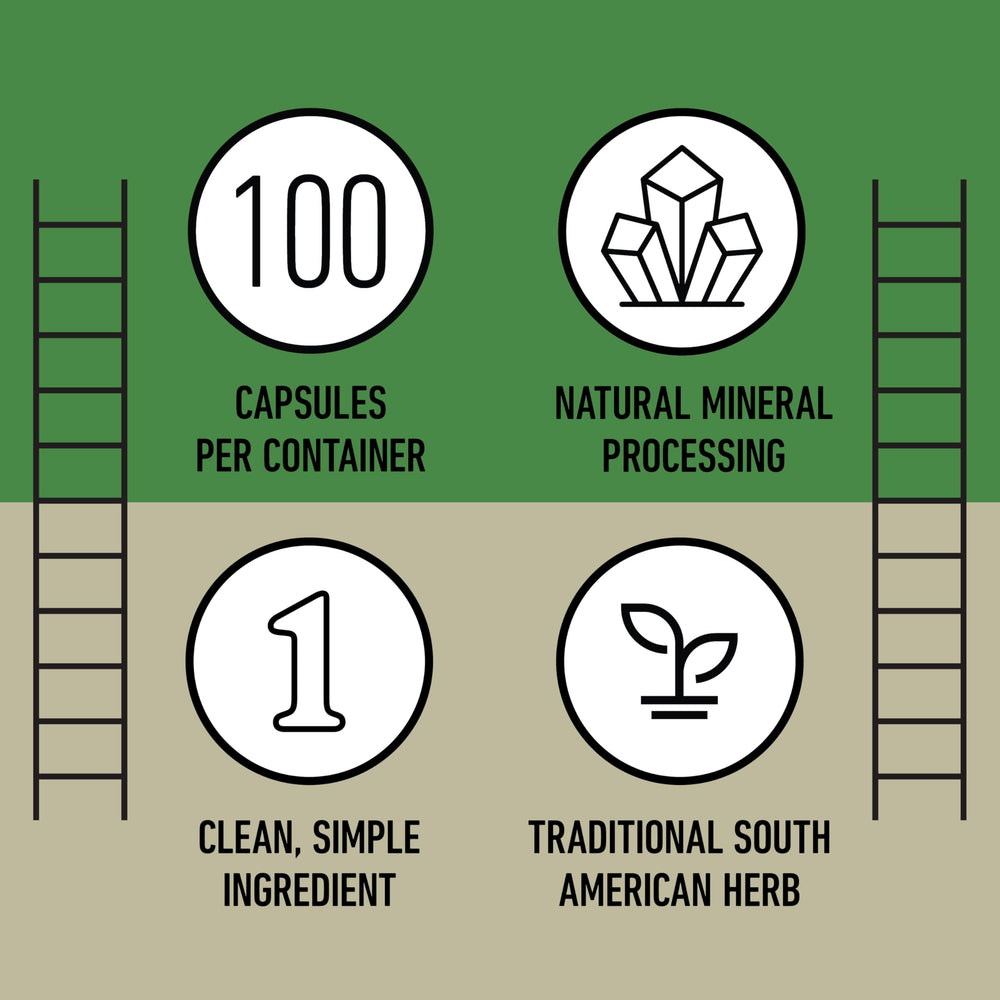 Complete Natural Products enviroment con plantas y luz natural, transmite origen orgánico
