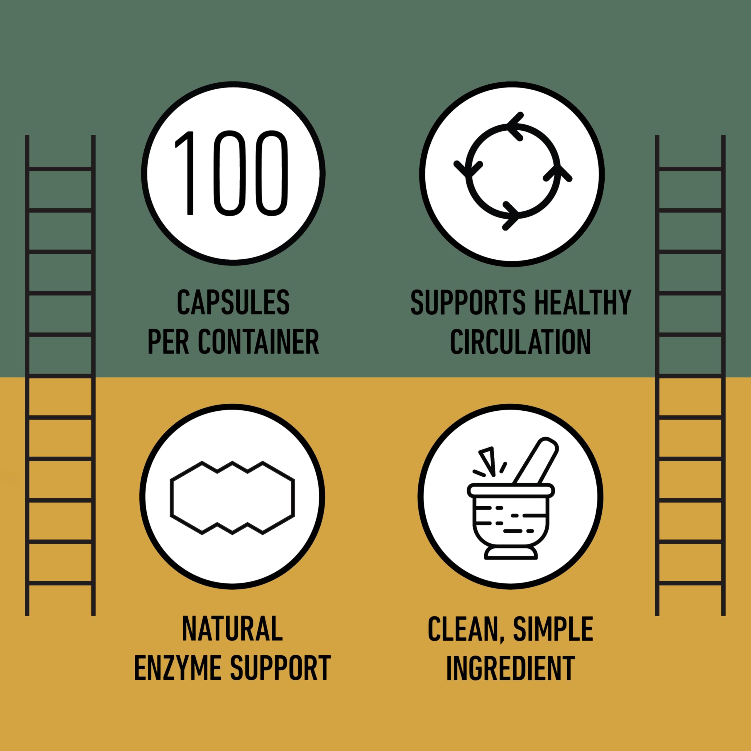 Complete Natural Products granos de soja fermentada ilustrando origen natural del ingrediente