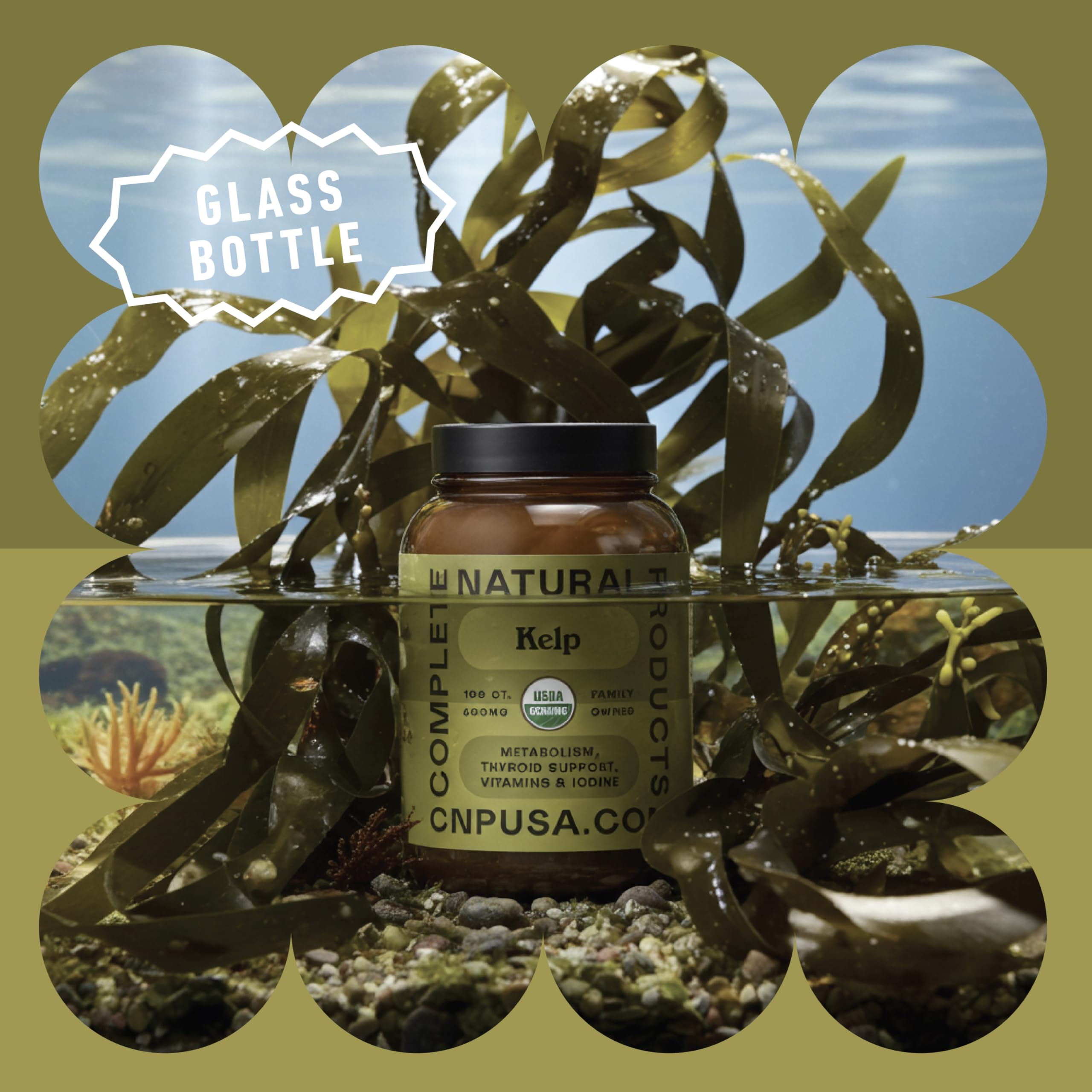 Complete Natural Products lista de ingredientes clara y sin aditivos artificiales