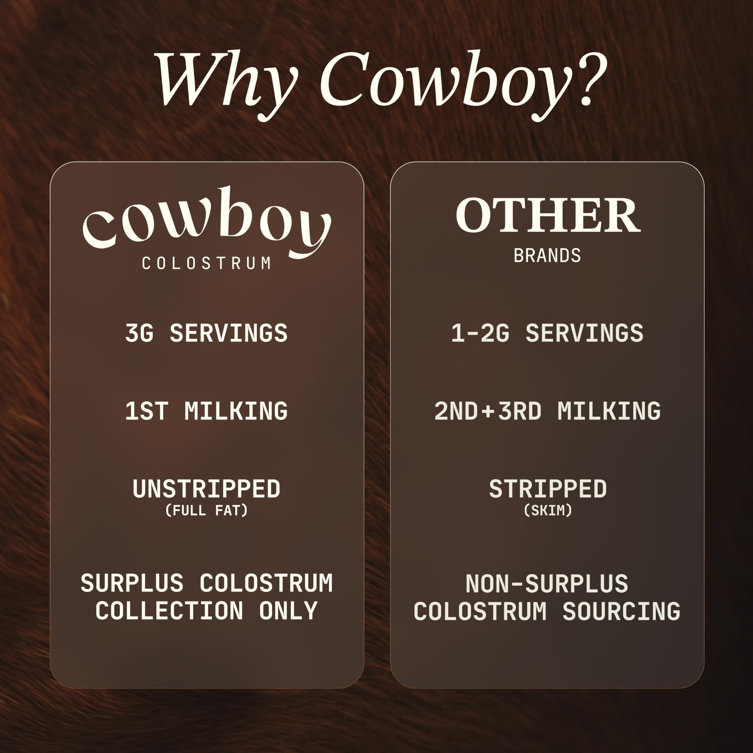 Polvo de Cowboy Colostrum textura cremosa en primer plano, mezcla sin grumos