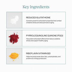 CYMBIOTIKA textura líquida liposomal que sugiere mejor absorción