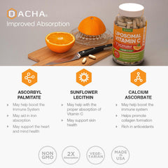 DACHA cápsula en mano mostrando fácil ingestión y formato práctico
