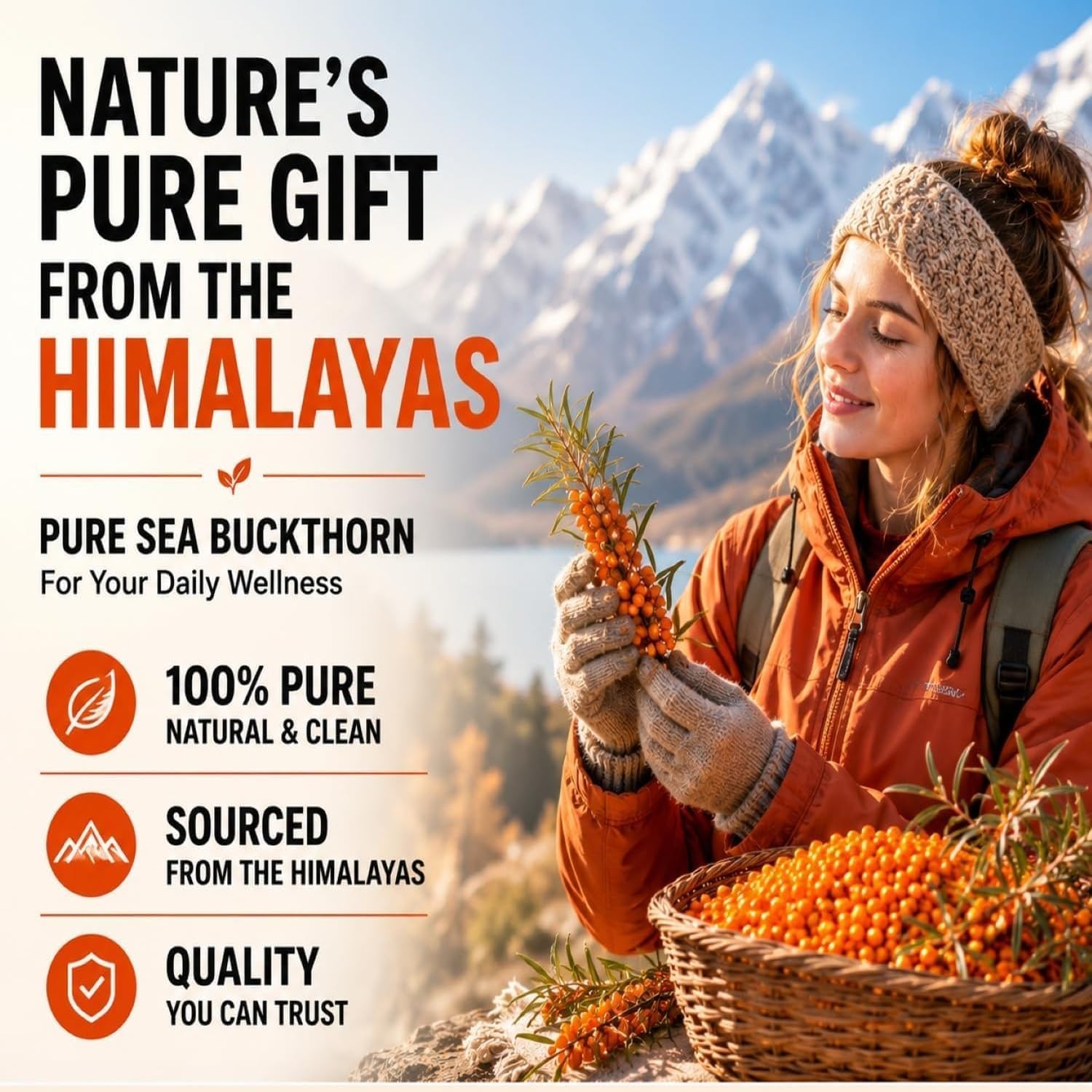 Daily All Day bayas de espino amarillo del Himalaya como origen natural
