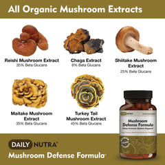 DailyNutra Mushroom Defense: etiqueta clara con ingredientes