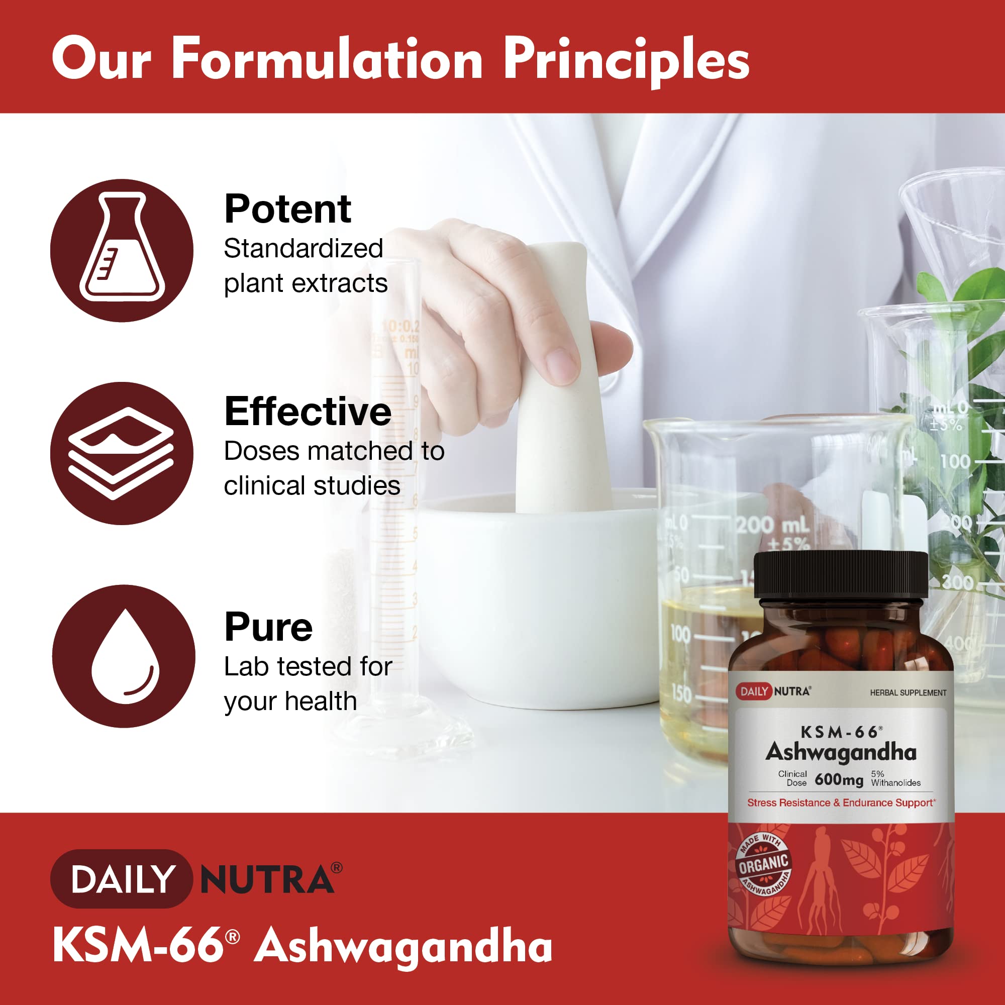 DailyNutra raíz orgánica de ashwagandha como ingrediente principal