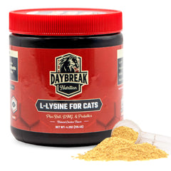 Daybreak Nutrition frente del envase mostrando la marca y dosis clara