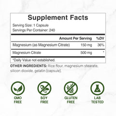 Deal Supplement cápsula en primer plano que destaca absorción y facilidad de tragar