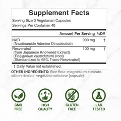 DEAL SUPPLEMENT cápsula vegetal cercana que muestra textura y fácil ingestión