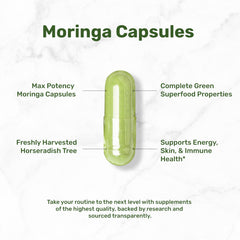 DEAL SUPPLEMENT polvo de moringa mostrando textura concentrada