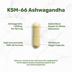 DEAL SUPPLEMENT imagen del polvo de raíz que ilustra extracto KSM-66 y pureza