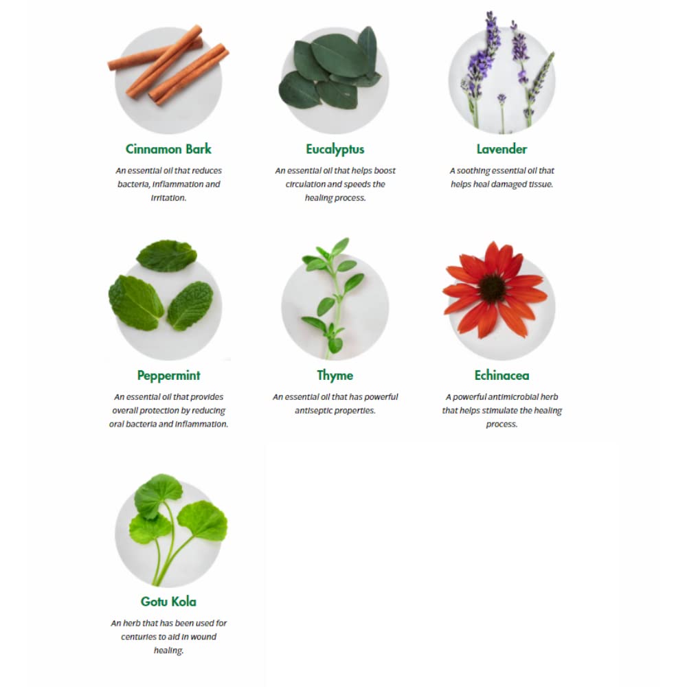 Dental Herb Company comparación de tamaño con monedas para medir portabilidad