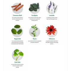 Dental Herb Company comparación de tamaño con monedas para medir portabilidad