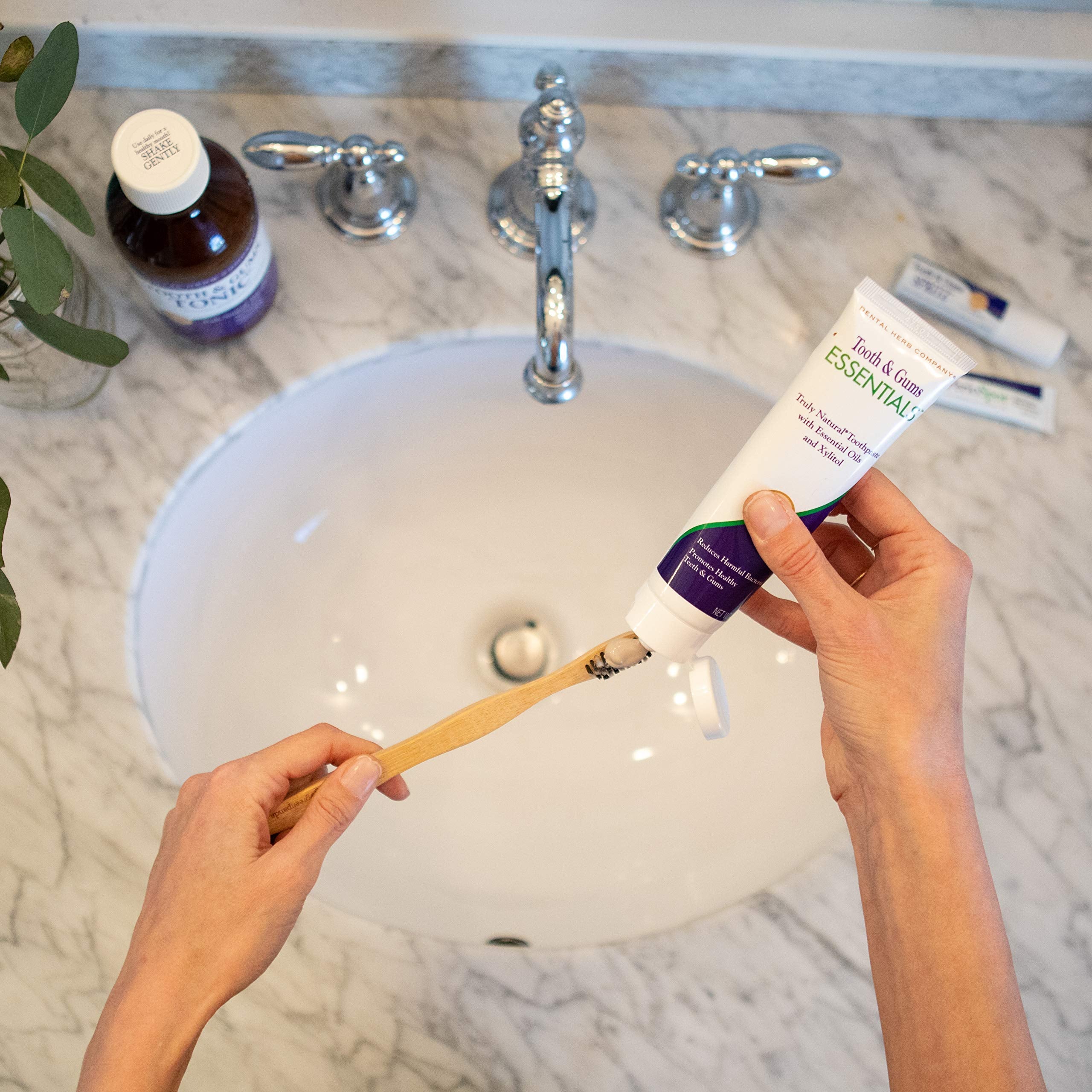 Dental Herb Company ingredientes botánicos mostrando menta y aloe para bienestar