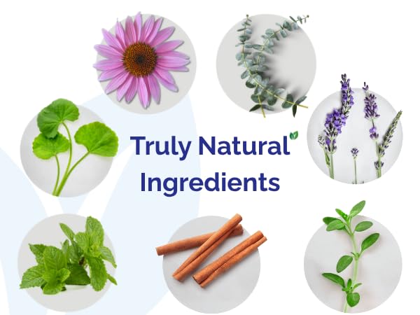 Dental Herb Company etiqueta legible con ingredientes naturales y sin alcohol