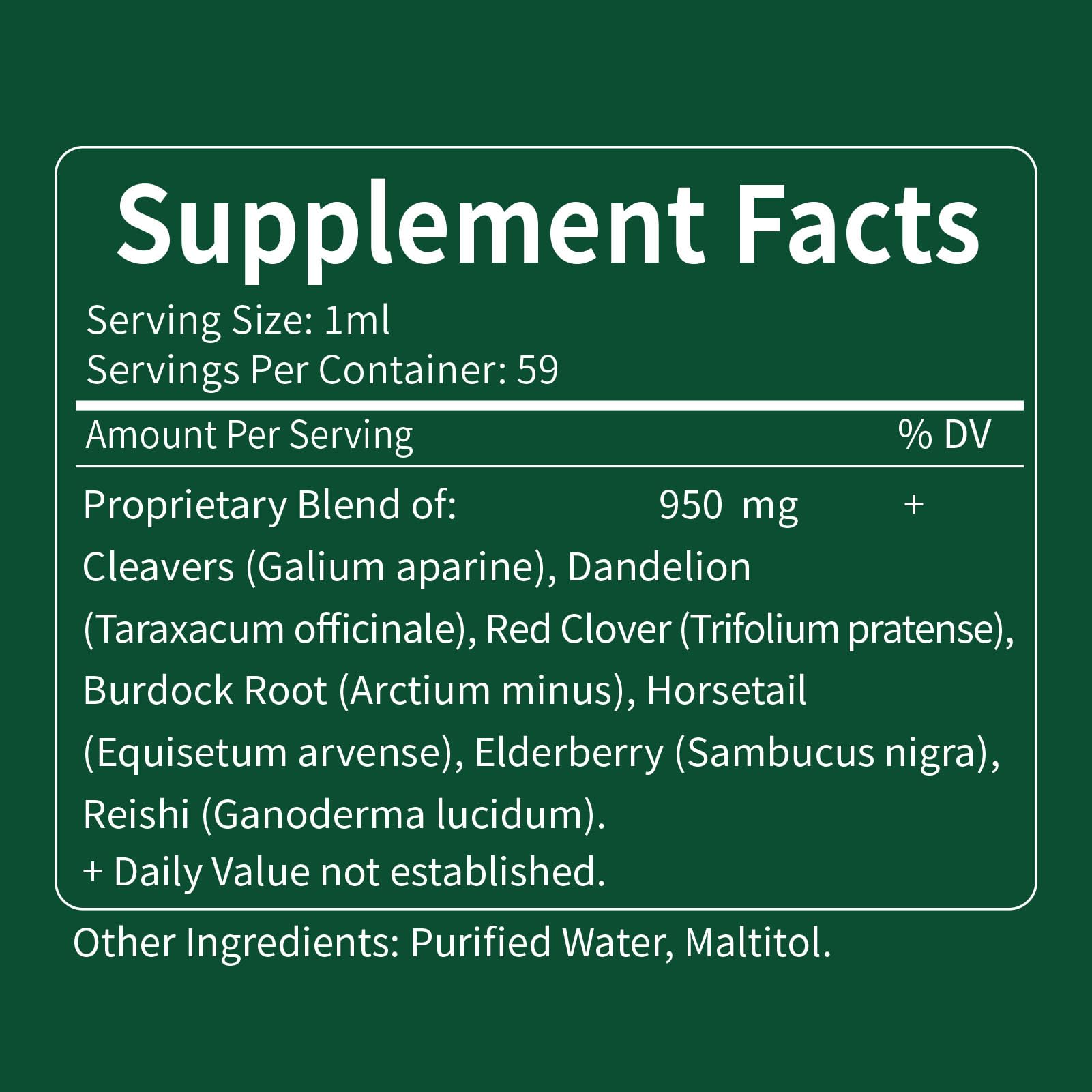 DetoxenNATURE producto en ambiente de bienestar y estilo de vida activo