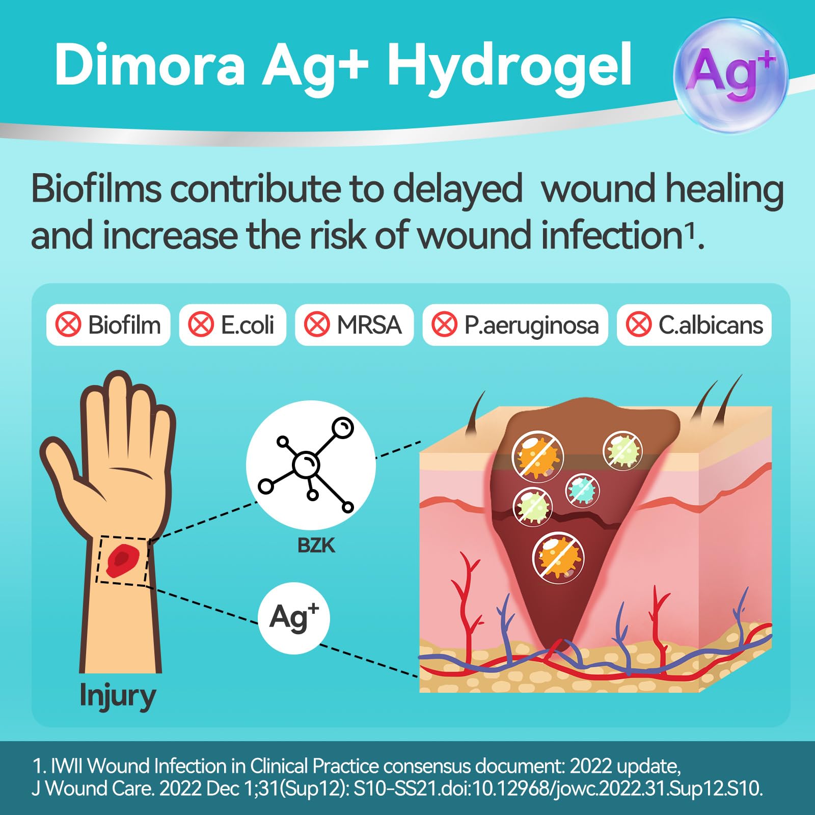 Dimora gel cubierto con vendaje transparente mantiene humedad óptima