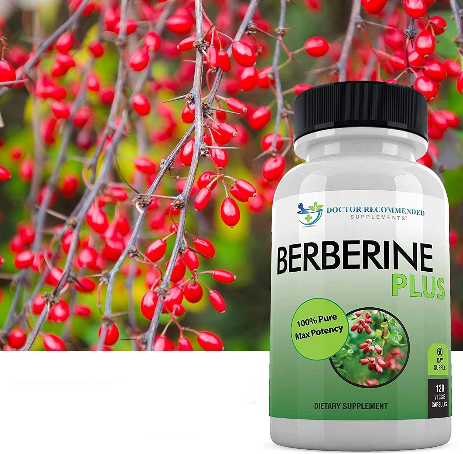 DOCTOR RECOMMENDED SUPPLEMENTS etiqueta con información de ingredientes y pruebas