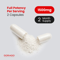 DORADO NUTRITION producto en gimnasio representando uso real