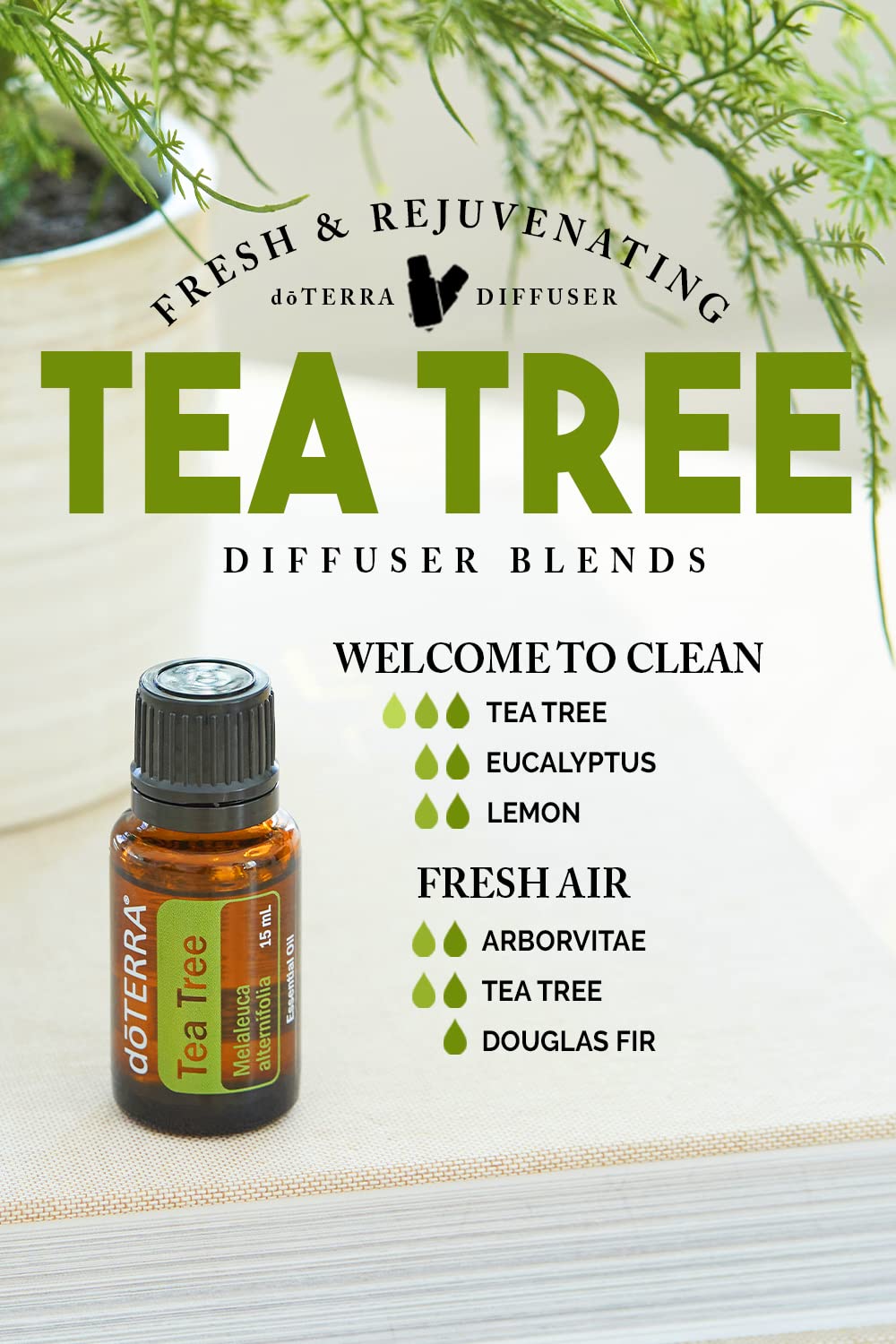 doTERRA Melaleuca añadida a botella de limpieza casera efectiva