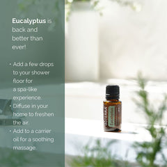 doTERRA hojas de eucalipto frescas para conectar origen botánico y aroma purificante