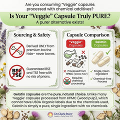 Dr Clark Store cápsula abierta con polvo, visualiza contenido 500 mg