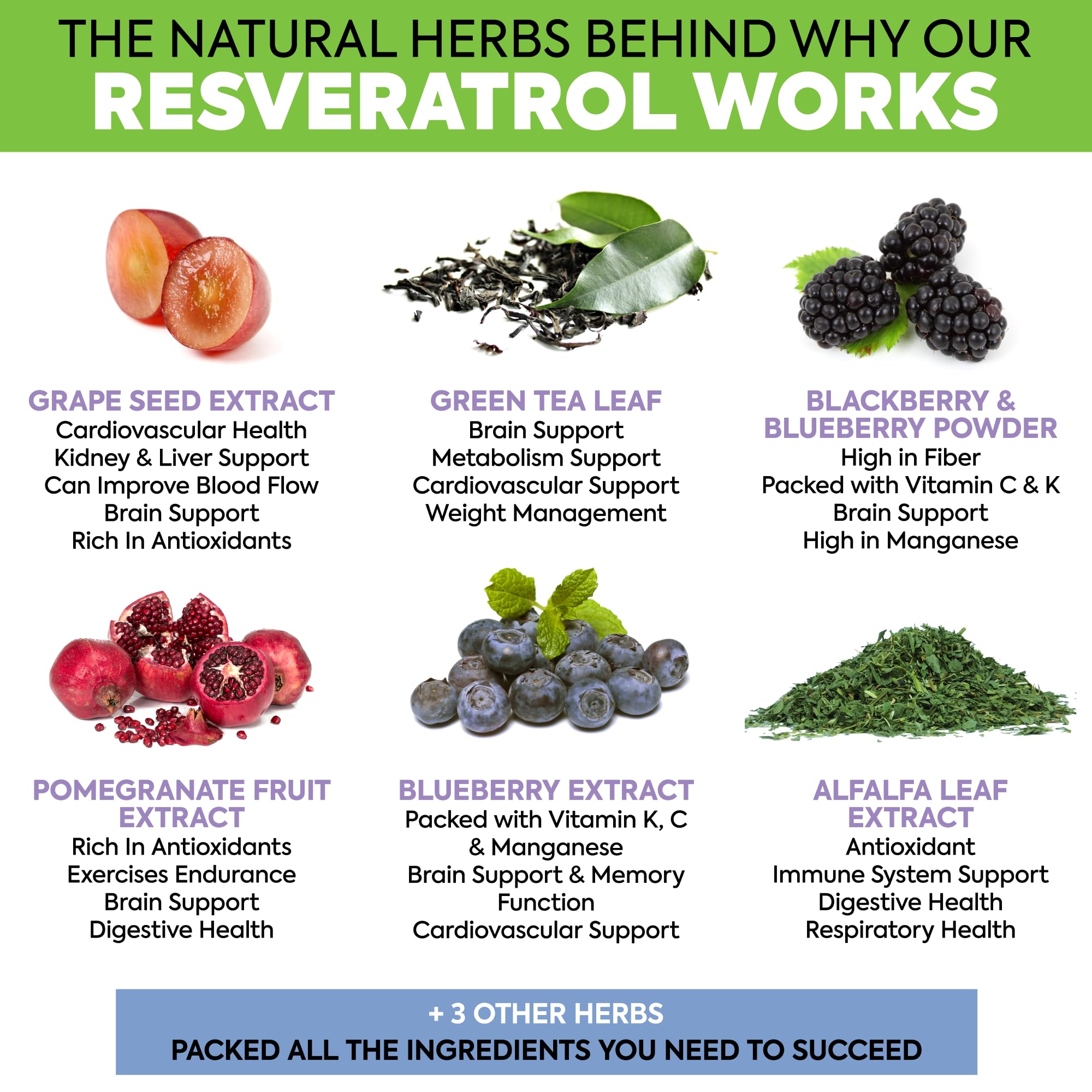 DR. MARTIN'S NUTRITION selección de hierbas usadas que destaca su origen natural