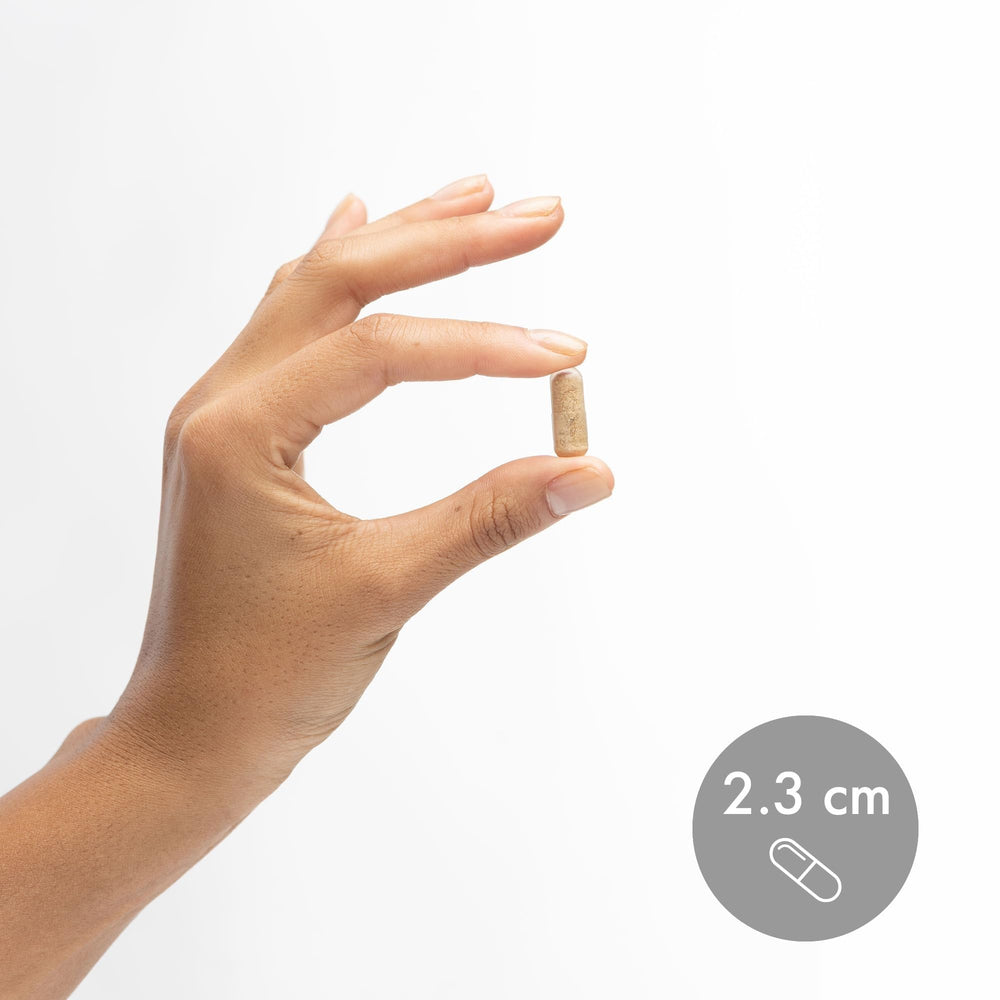 Dr. Mercola cápsulas en plato blanco para mostrar aspecto y cantidad