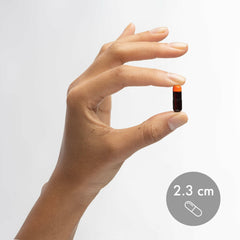 Dr. Mercola astaxantina destacada aportando protección antioxidante natural