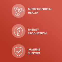 Dr. Mercola etiqueta nutricional legible con información de dosis y composición